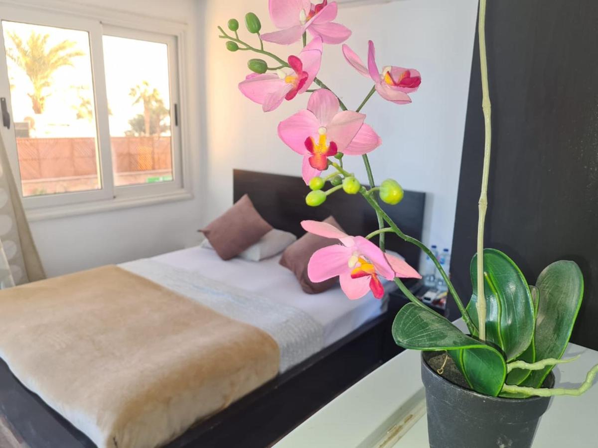Lilly Lounge And Pool Accommodation For Adults Only Hurghada Eksteriør bilde